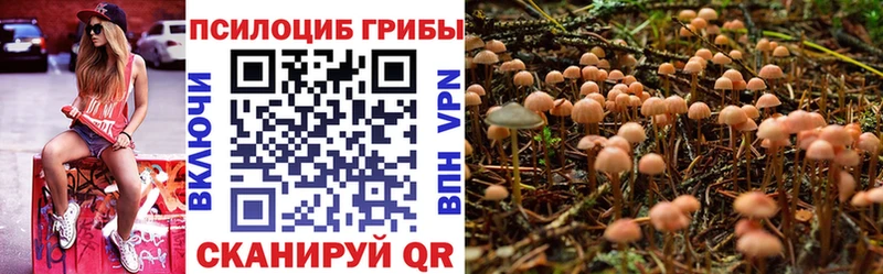 Псилоцибиновые грибы GOLDEN TEACHER  закладки  Ставрополь 